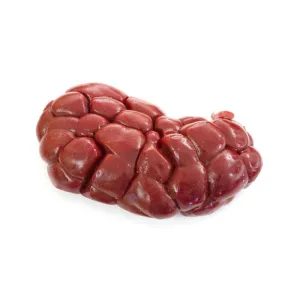 Beef kidney
